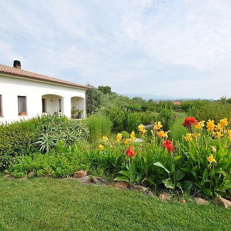 Agriturismo Mulinu Betzu サン・ヴェーロ・ミーリス エクステリア 写真