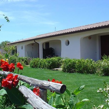 Agriturismo Mulinu Betzu サン・ヴェーロ・ミーリス エクステリア 写真